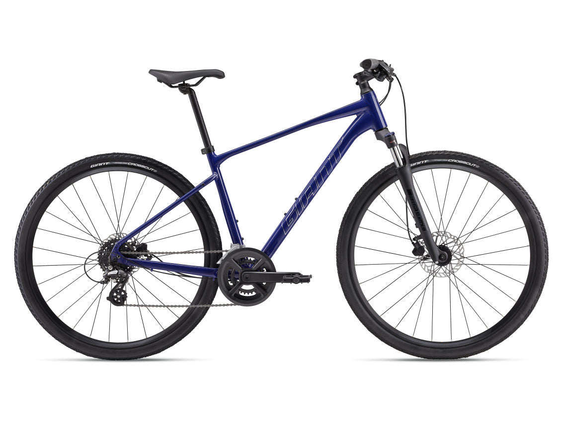 Giant Roam Disc 3 2024 Hybrid Bike Dales Cycles