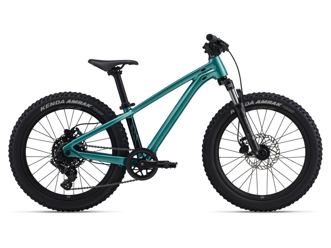 Giant STP 20 FS 2026 Children's Bike