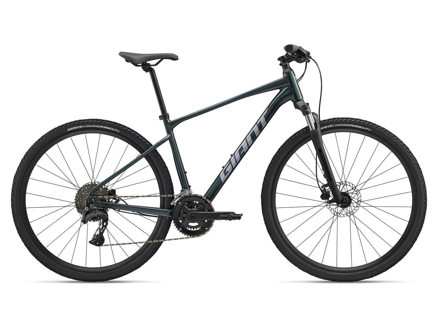 Giant Roam 2 2025 Hybrid Bike