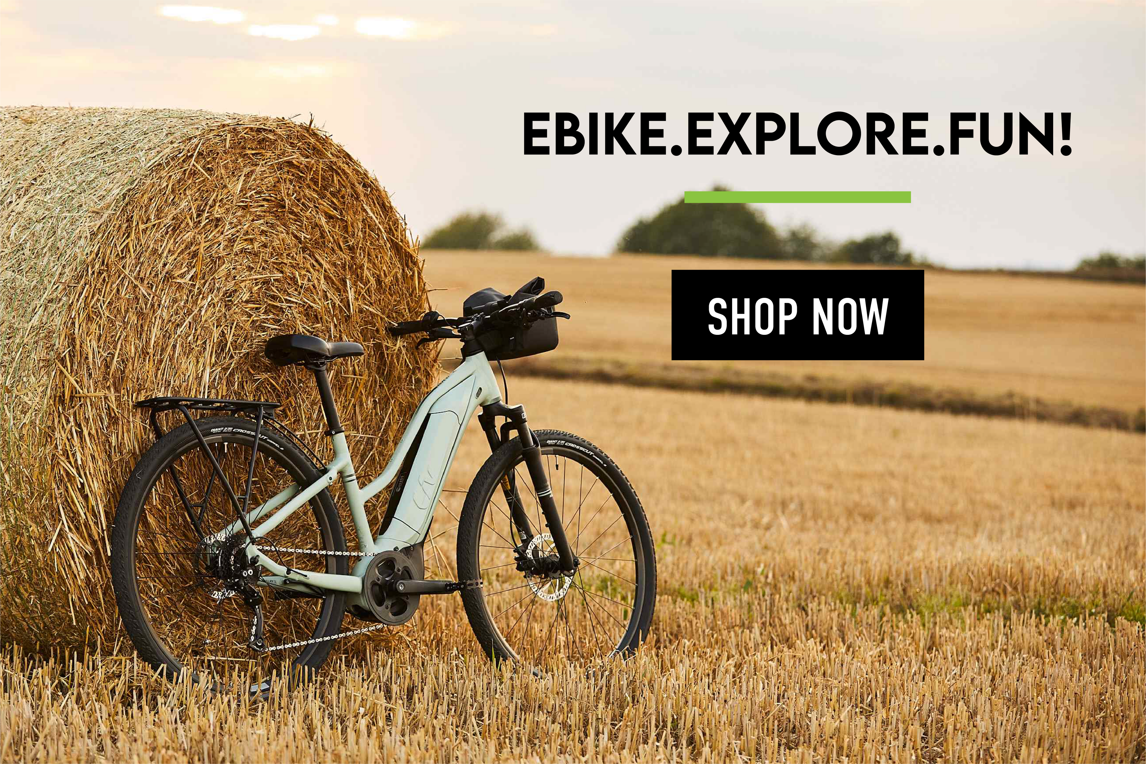 Dales Cycles Est 1912