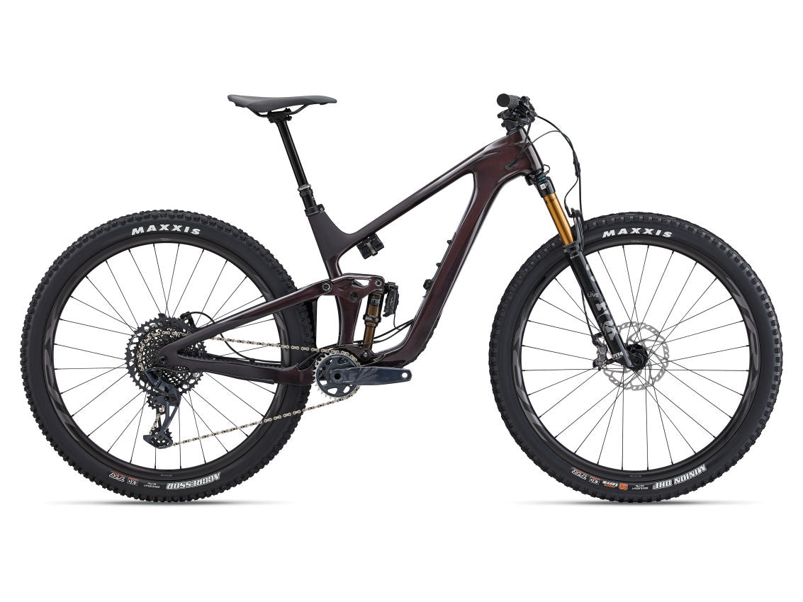 Giant Trance Advanced Pro 29 1 Mountain Bike