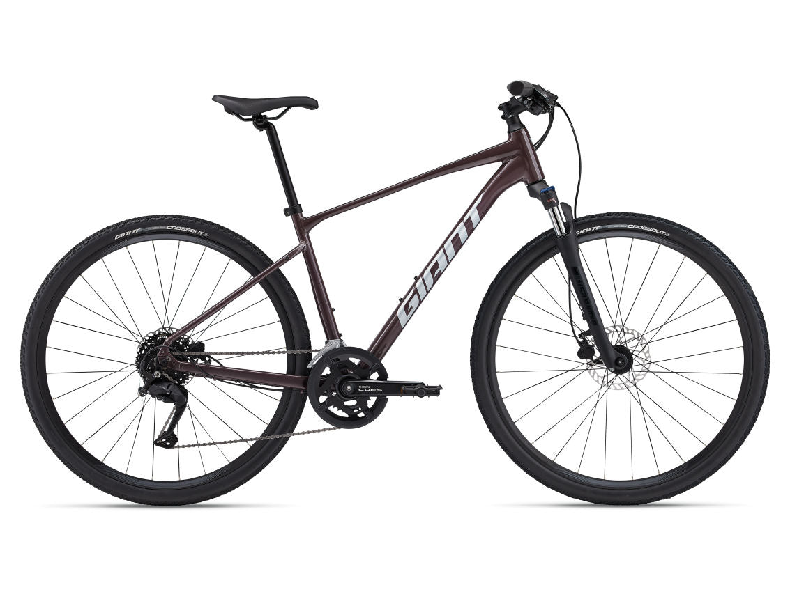 Giant Roam Disc 2 2024 Hybrid Bike