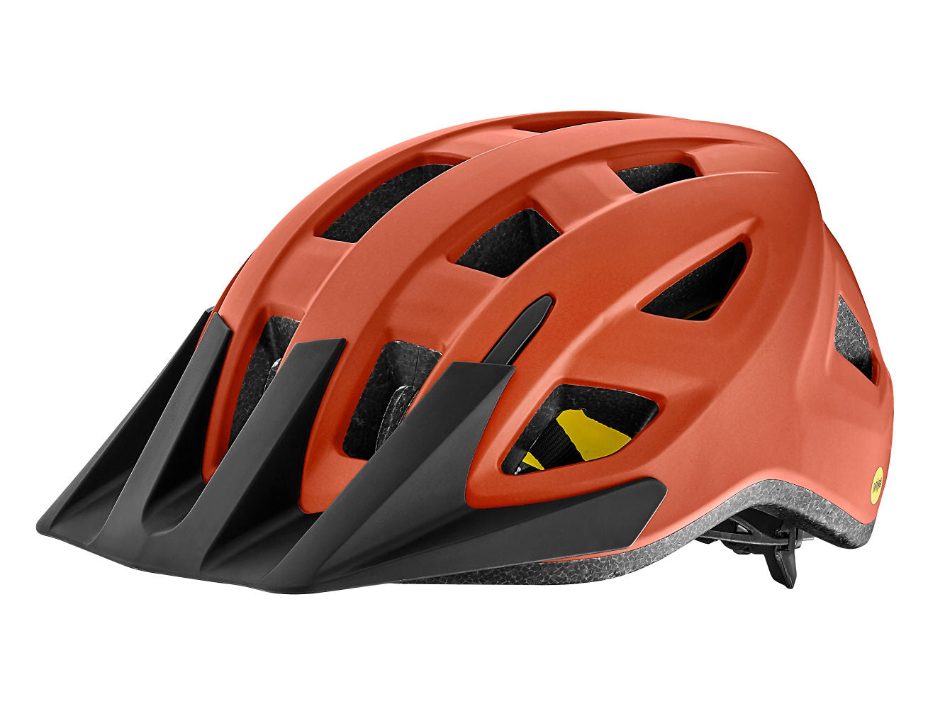 Giant Path MIPS Helmet