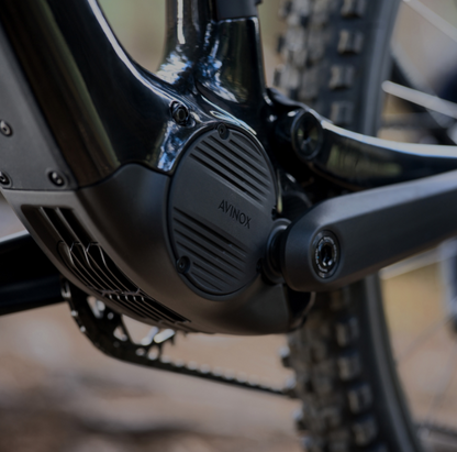 Amflow PL Carbon Pro 800Wh 2025 Electric Mountain Bike