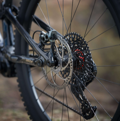 Amflow PL Carbon Pro 800Wh 2025 Electric Mountain Bike