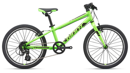 Giant ARX 20 2020 Kid's Bike - Green