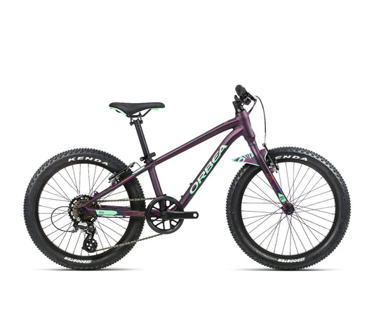 Orbea MX 20 Dirt 2022 Kids Bike