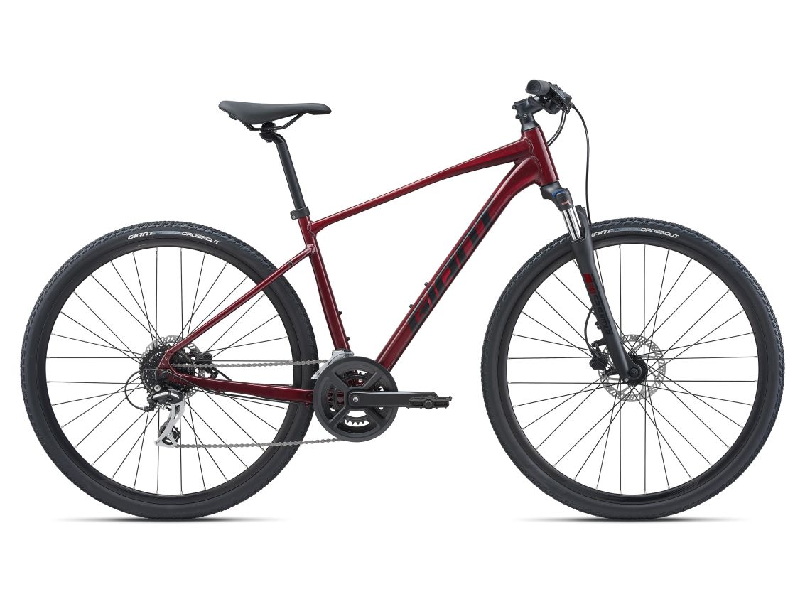 Giant Roam Disc 3 2022 Hybrid Bike