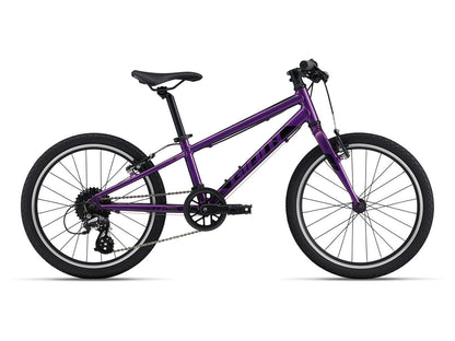 Giant ARX 20 2022 Kids Bike