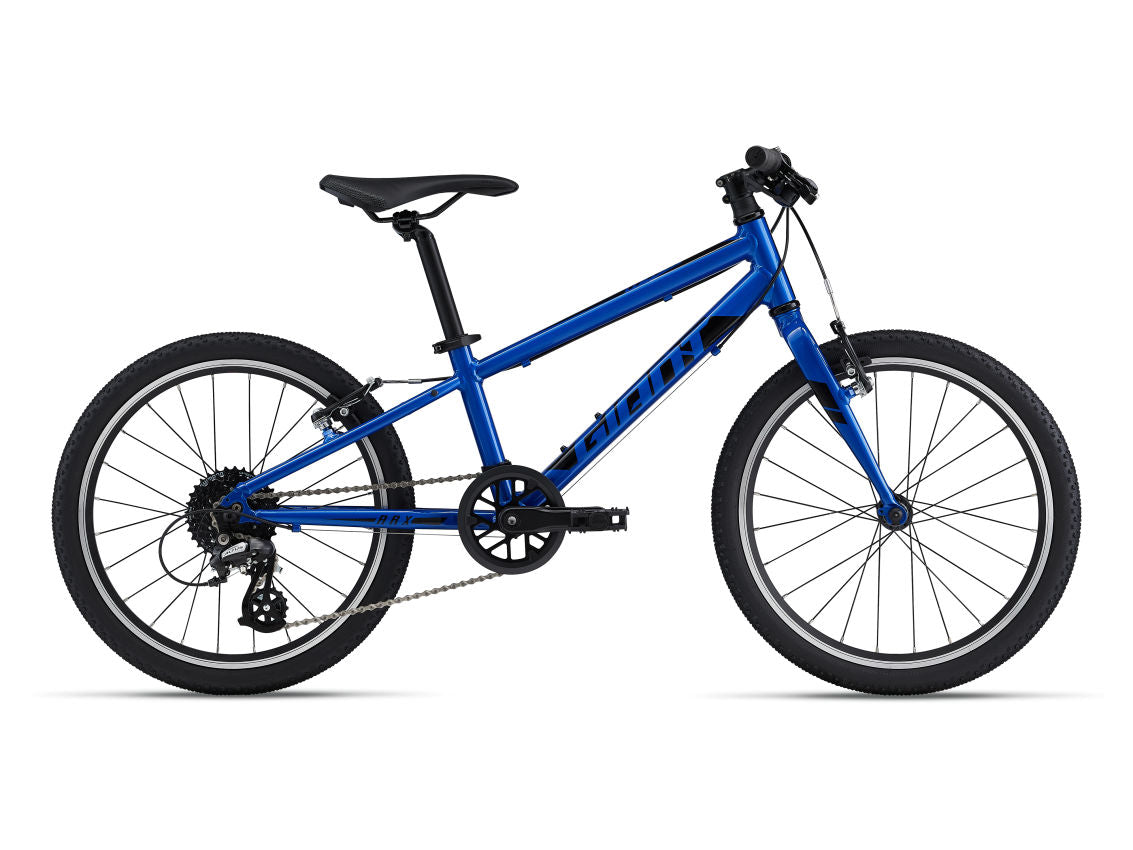 Giant ARX 20 2022 Kids Bike