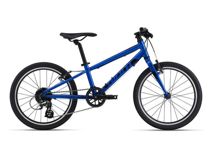 Giant ARX 20 2022 Kids Bike