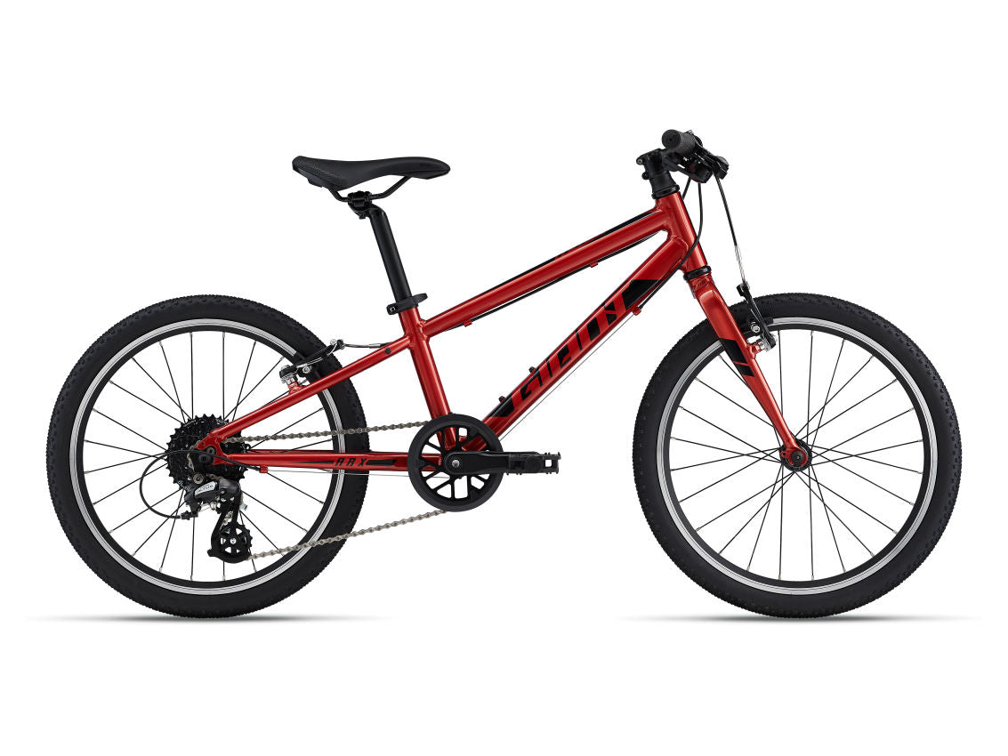 Giant kids bike 20 sales