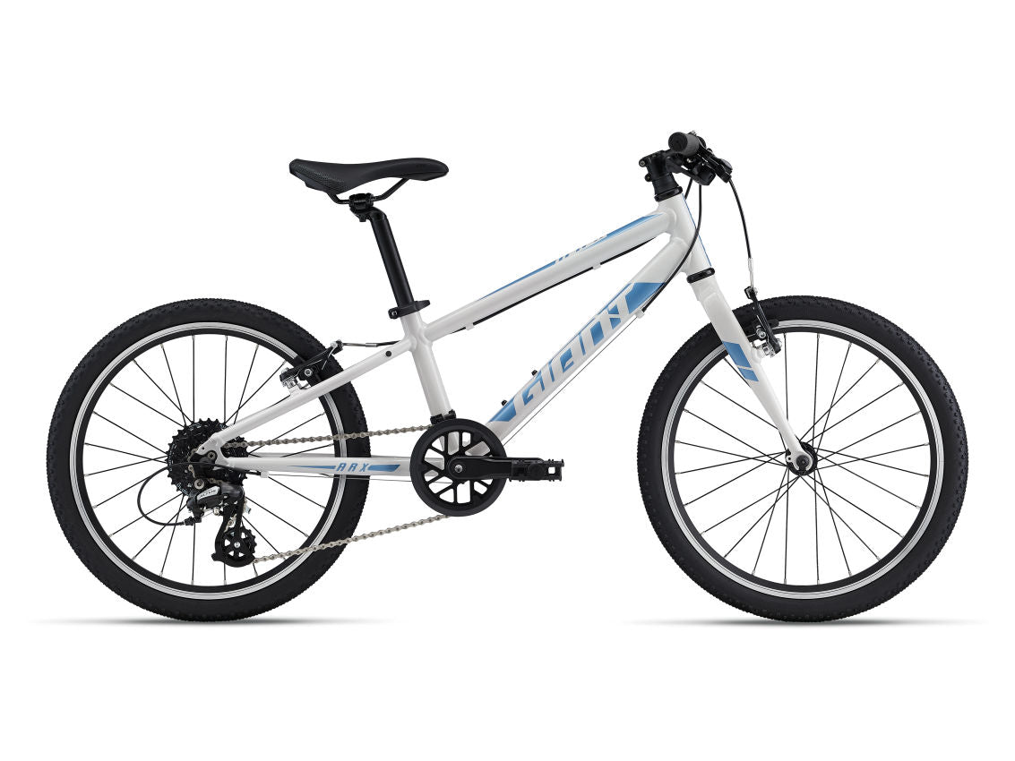 Giant ARX 20 2022 Kids Bike