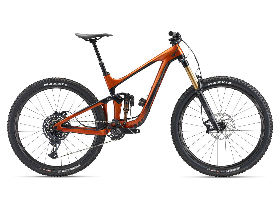 Giant Reign Advanced Pro 29 1 2022 Mountain Bike