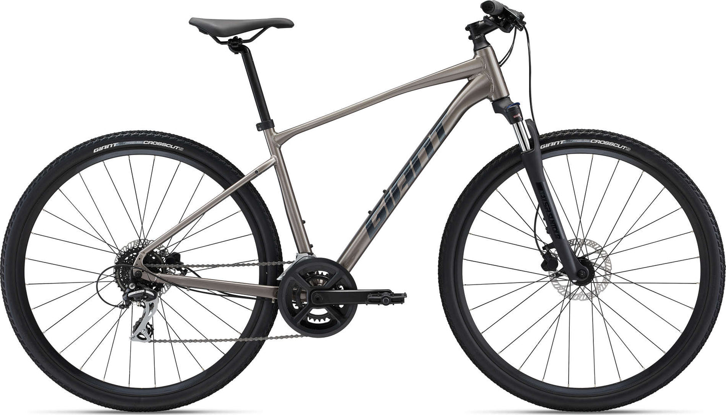 Giant Roam Disc 3 2022 Hybrid Bike