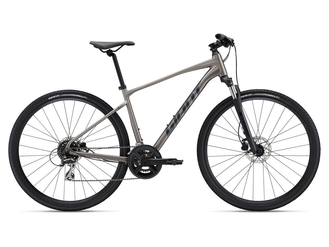 Giant Roam Disc 3 2022 Hybrid Bike