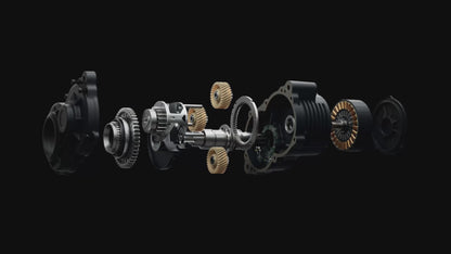 Amflow PL Carbon 2025 Electric Mountain Bike